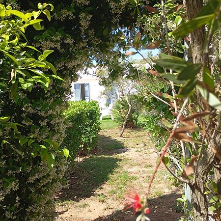 Li Curti B&B Melissano Εξωτερικό φωτογραφία