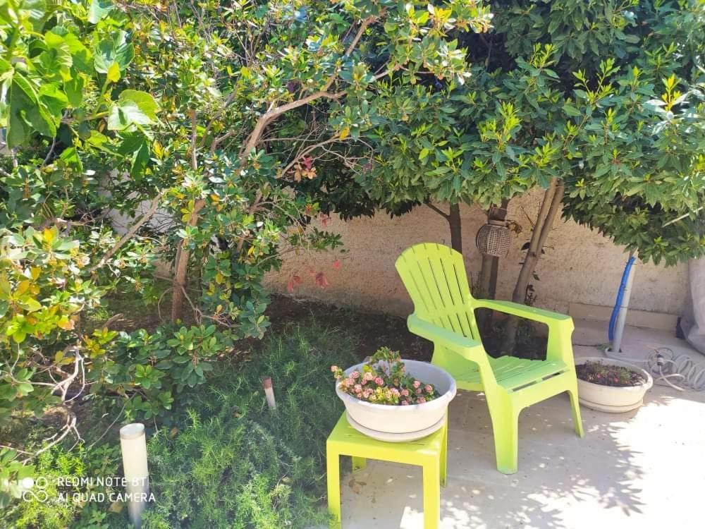 Li Curti B&B Melissano Εξωτερικό φωτογραφία