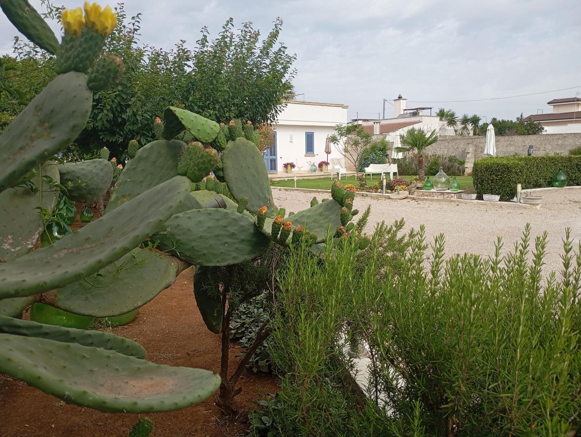 Li Curti B&B Melissano Εξωτερικό φωτογραφία