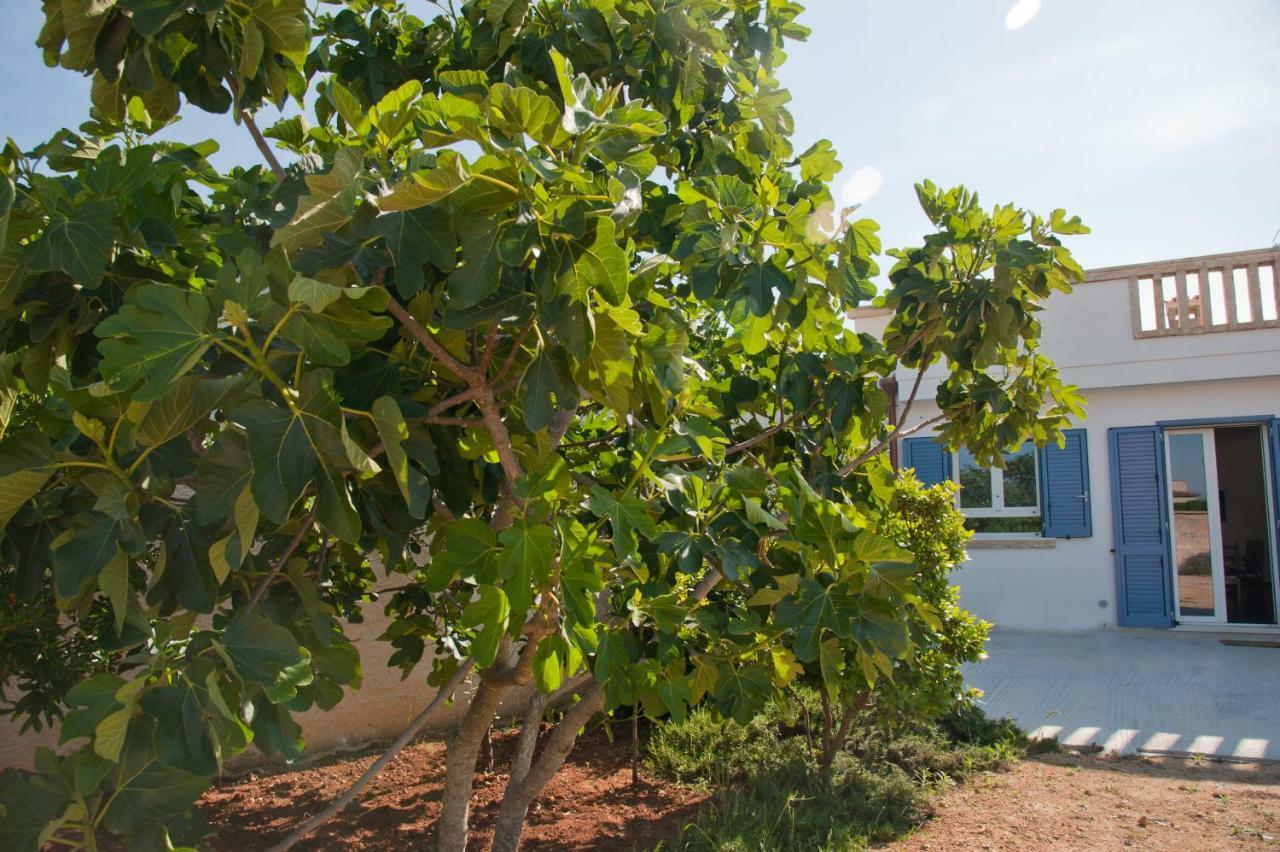 Li Curti B&B Melissano Εξωτερικό φωτογραφία