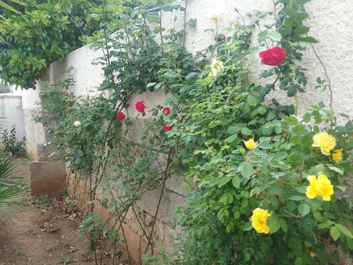 Li Curti B&B Melissano Εξωτερικό φωτογραφία
