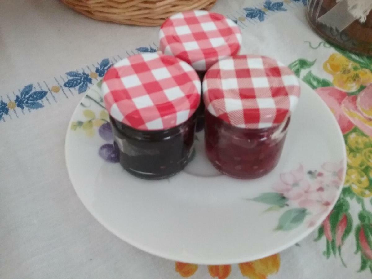 Li Curti B&B Melissano Εξωτερικό φωτογραφία