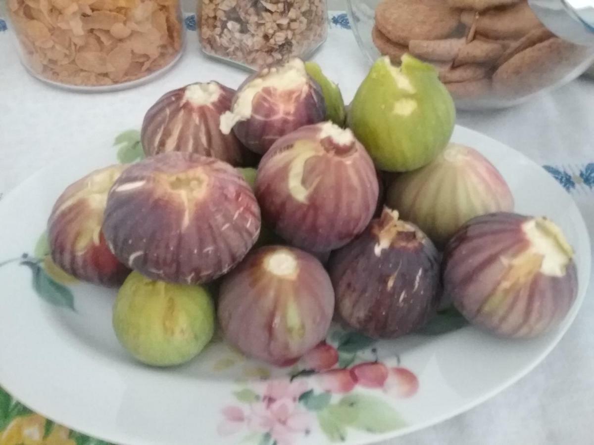 Li Curti B&B Melissano Εξωτερικό φωτογραφία
