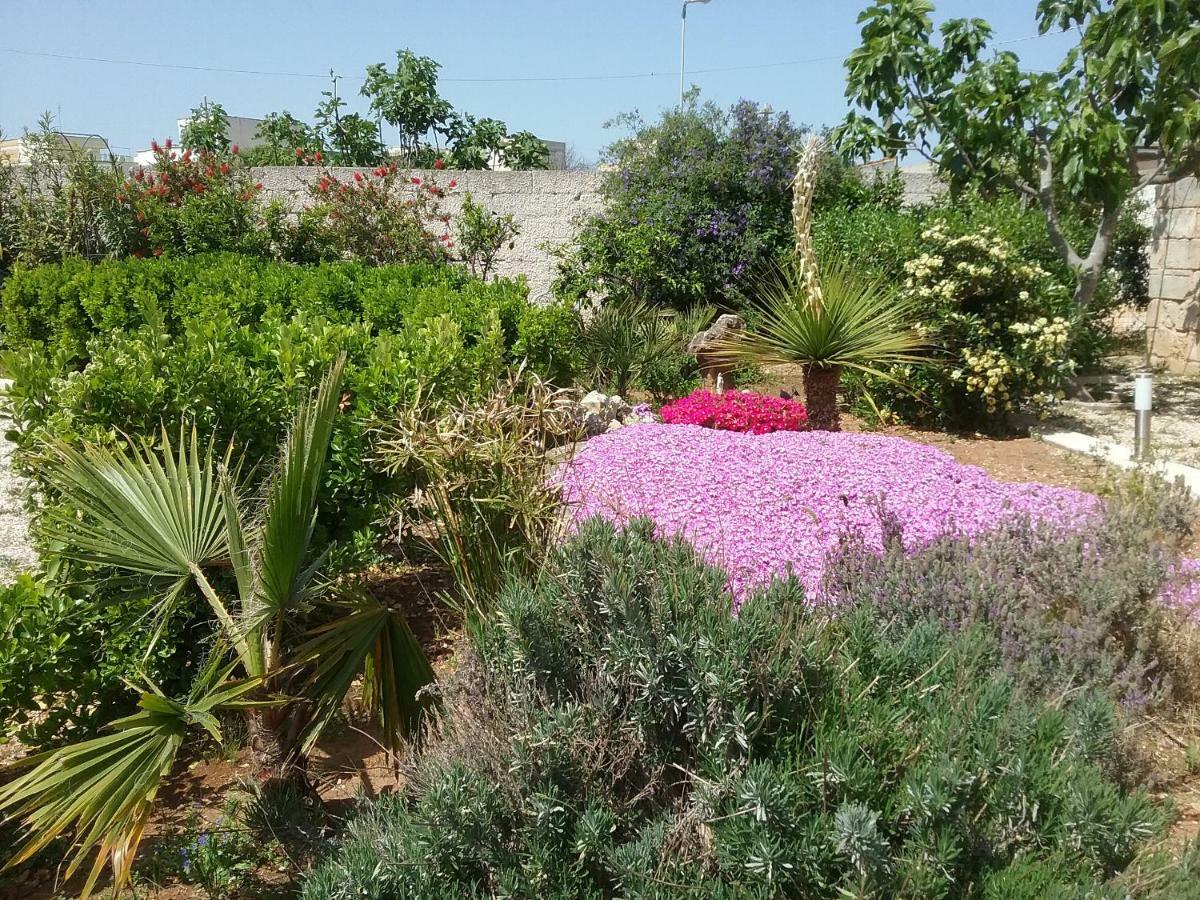 Li Curti B&B Melissano Εξωτερικό φωτογραφία