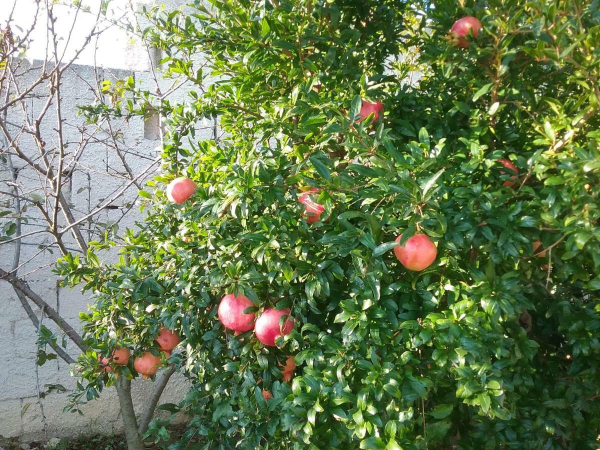 Li Curti B&B Melissano Εξωτερικό φωτογραφία