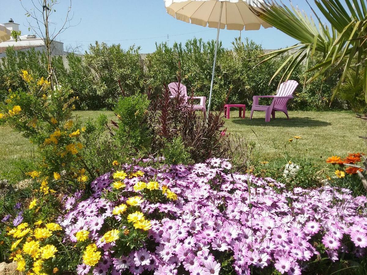 Li Curti B&B Melissano Εξωτερικό φωτογραφία