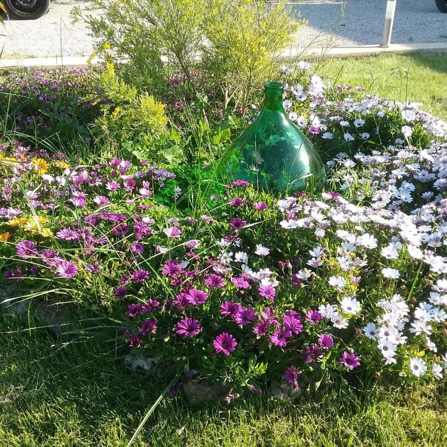 Li Curti B&B Melissano Εξωτερικό φωτογραφία